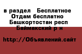  в раздел : Бесплатное » Отдам бесплатно . Башкортостан респ.,Баймакский р-н